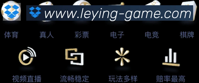 未来规划